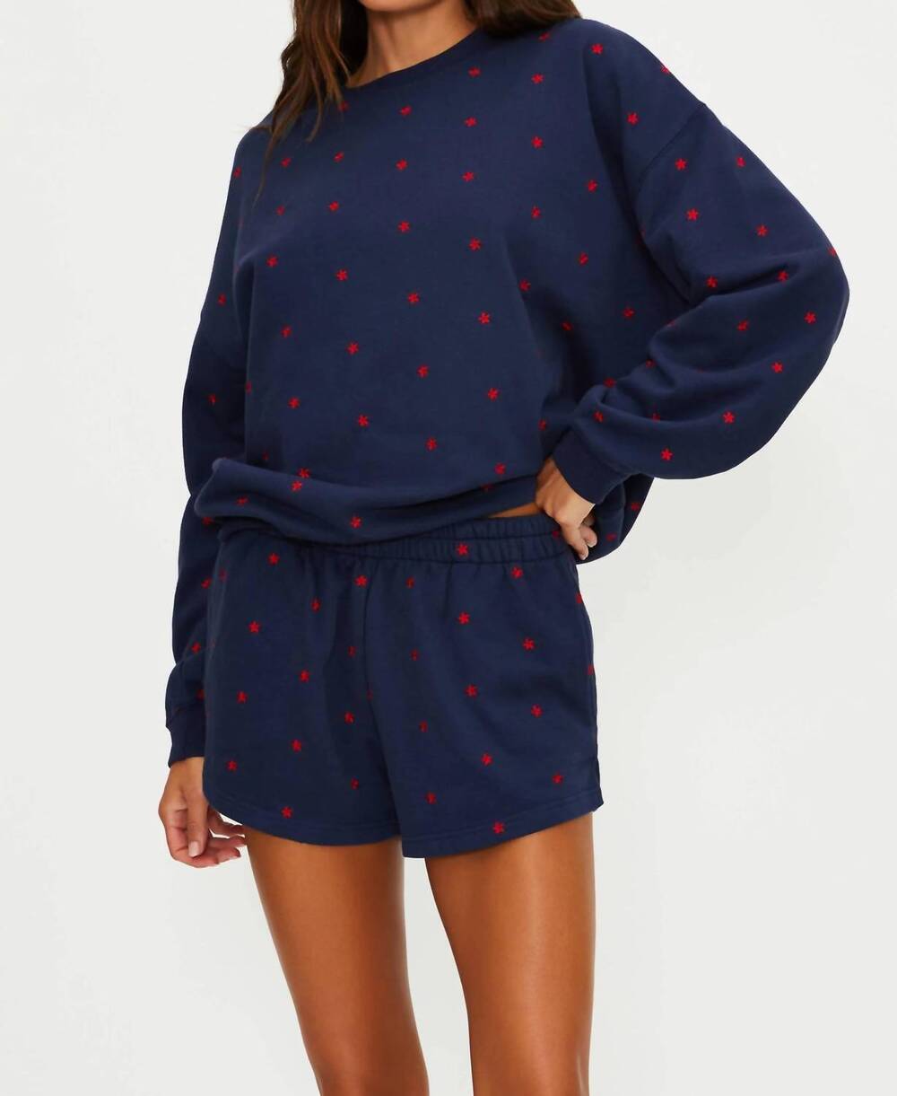 NEW BEACH RIOT malik shorts in star spangled seas